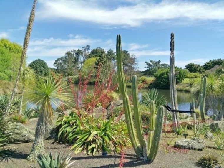 Auckland Botanic Gardens-2